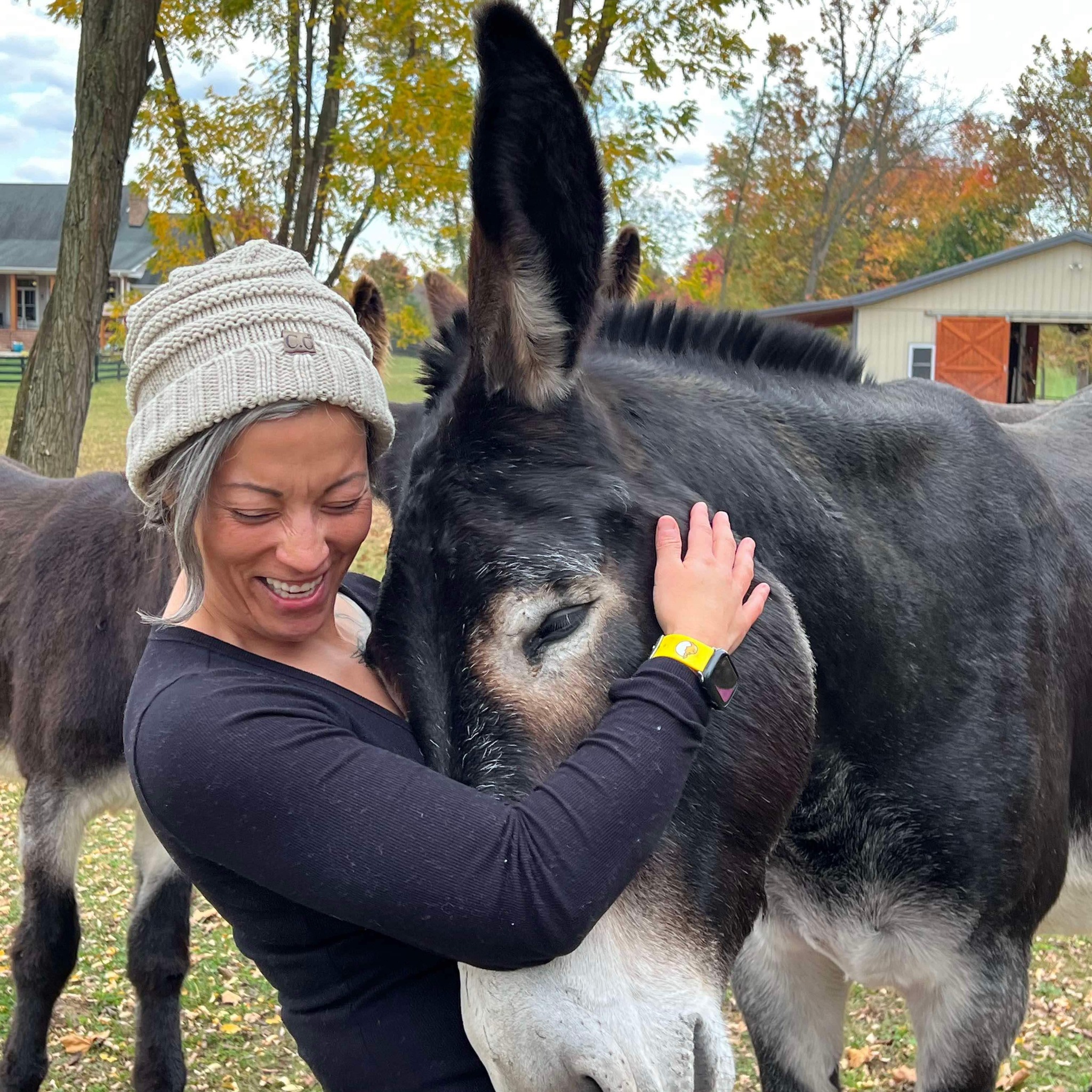 Donkey Yoga @ Donkey Meadows Safe Haven